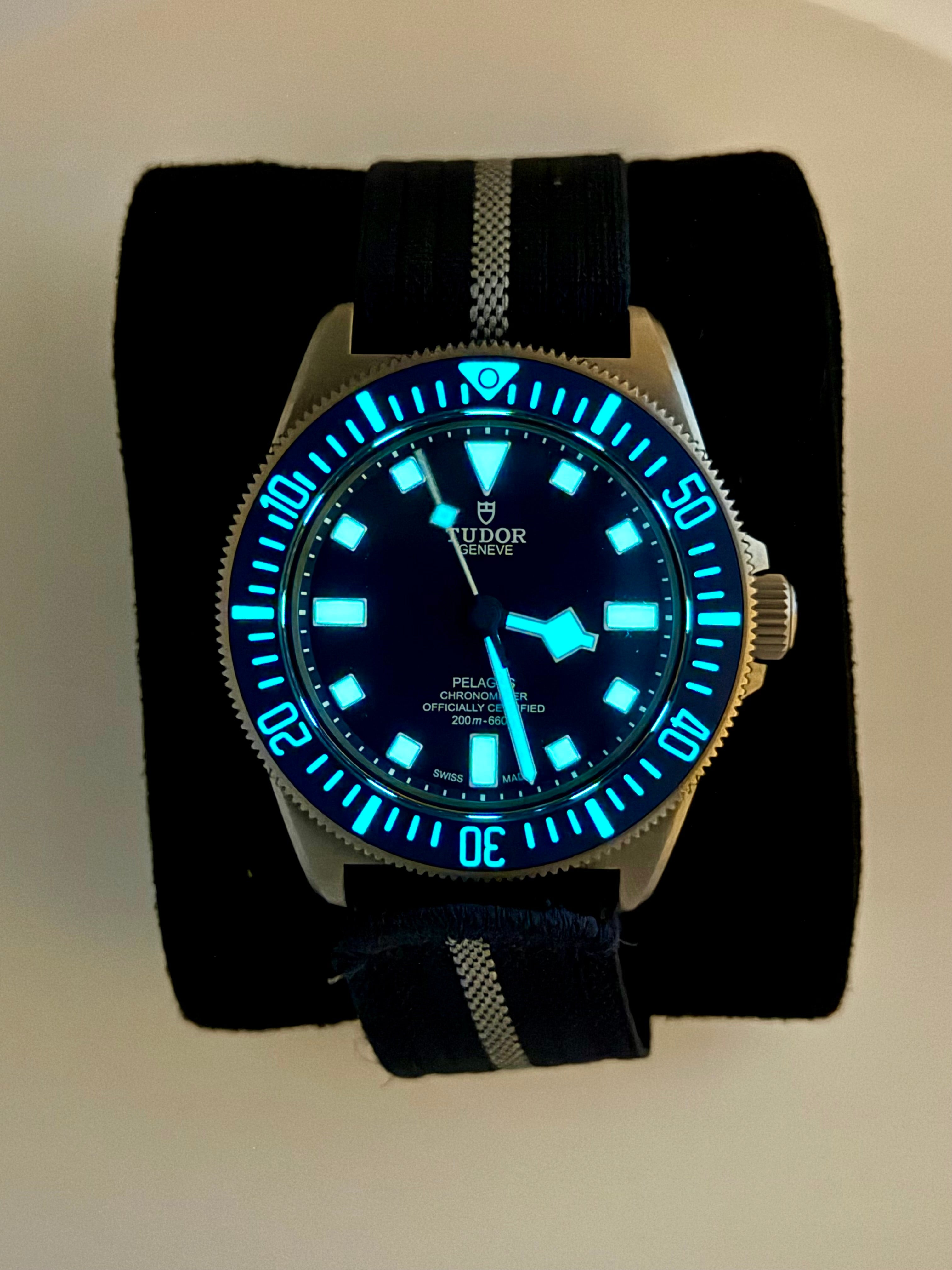 TUDOR PELAGOS FXD BLUE Dial on BLUE AND GRAY STRAP 25707B/24 Complete 2024